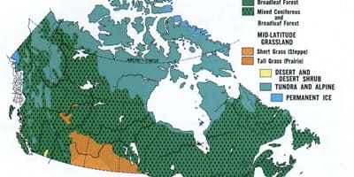 地図のカナダでの植生